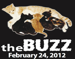 The Buzz