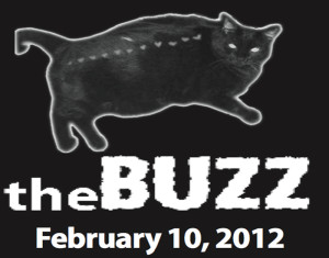 The Buzz