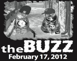 The Buzz