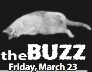 The Buzz