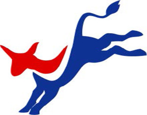 Case Democrats Commentary