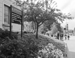 Dittrick Medical History Center features lecture on emergency contraception’s history
