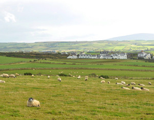 Talking the talk: a short vacation in Gaeltacht