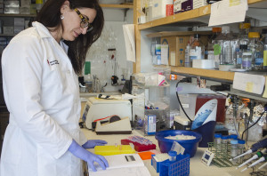 CWRU School of Medicine researcher earns third NIH grant to study psoriasis