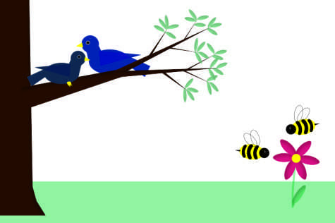 The birds & the bees
