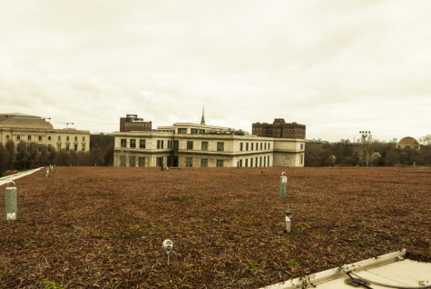 The view from the green roof