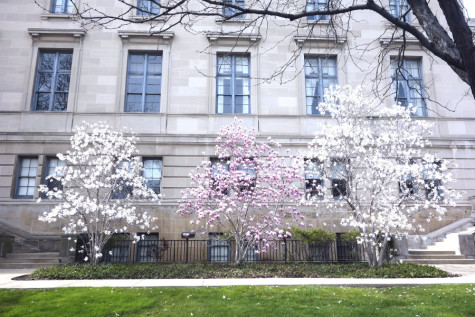 Eckert: Spring is here, you’re almost there