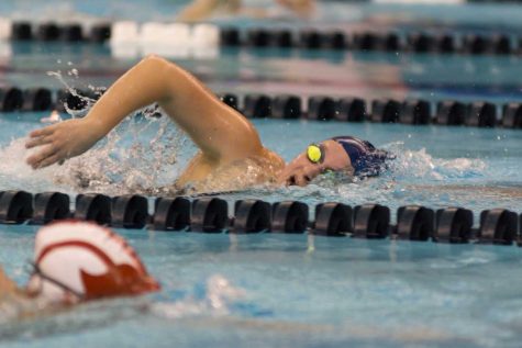 Swim and dive competes at UAA championships
