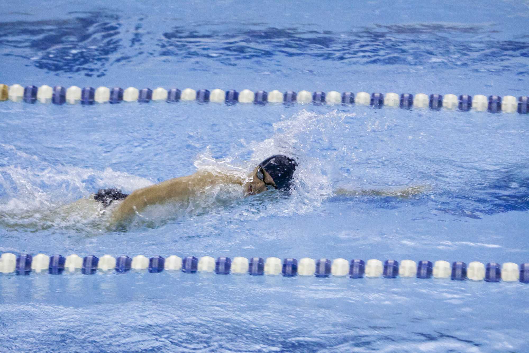 Four members of the swimming team competed at the NCAA Championships with Drew Hamilton earning two All-America Honorable Mentions.