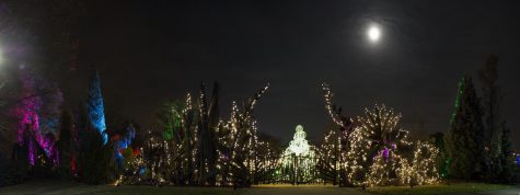 Expanding festival delivers spirit of the season