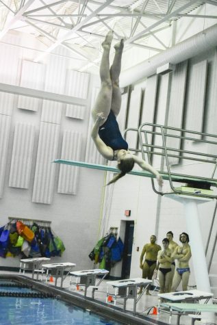Swimming and diving drops first meet after winter break