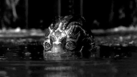 “The Shape of Water” deserves its Oscar nominations
