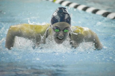 Spartan swimmers and divers kick past competition