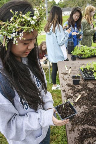 Farm Harvest Festival encourages students to live sustainably