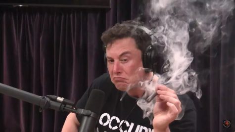 Wilson: Musk is a visionary, albeit a flawed one