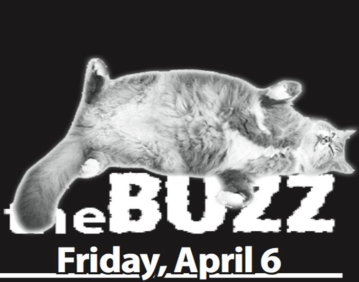 The+Buzz