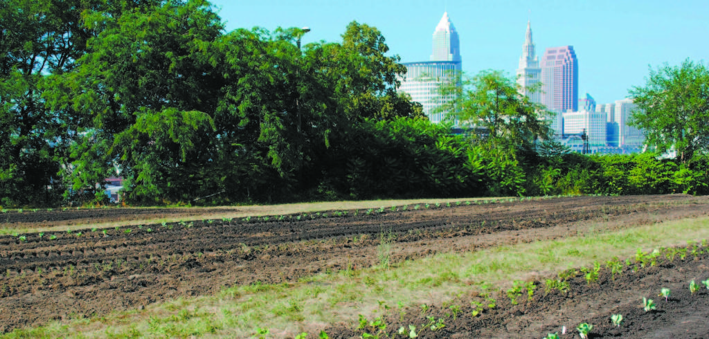 CWRU’s Farm Food Program to tackle Cleveland’s food deserts