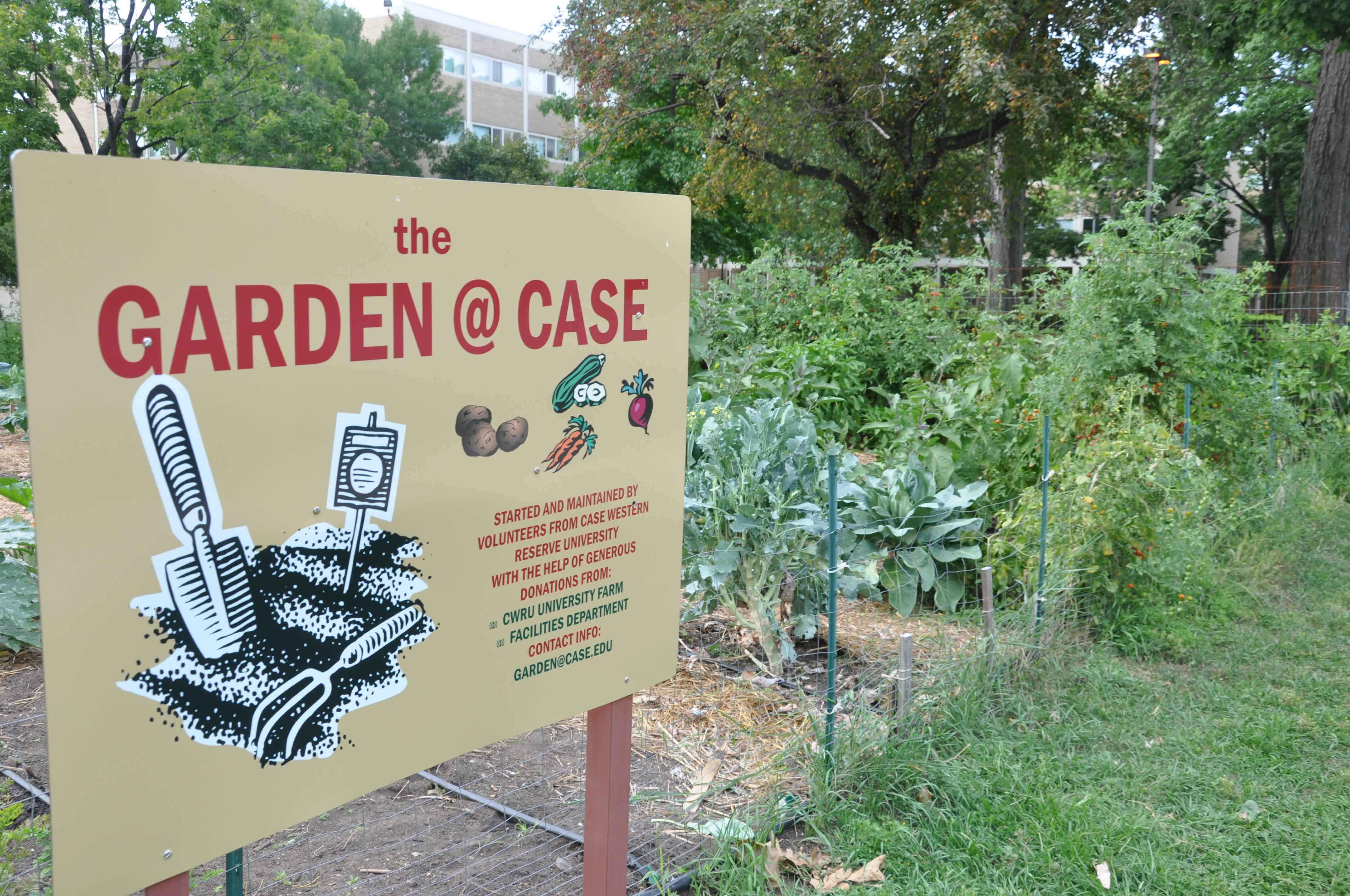 Campus garden continues to harvest goodwill, welcome volunteers