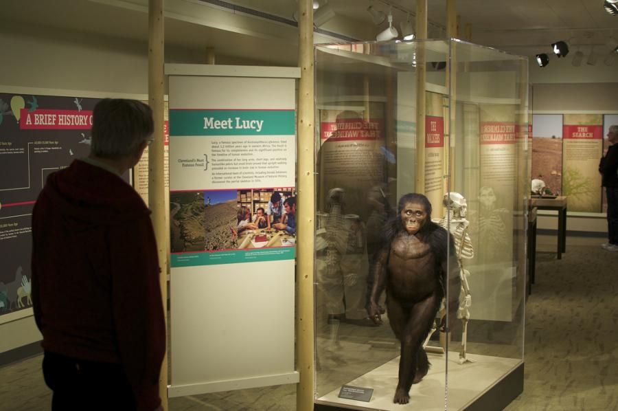 The Natural History Museum will be seeing big changes by 2020, including changes to individual exhibits like 