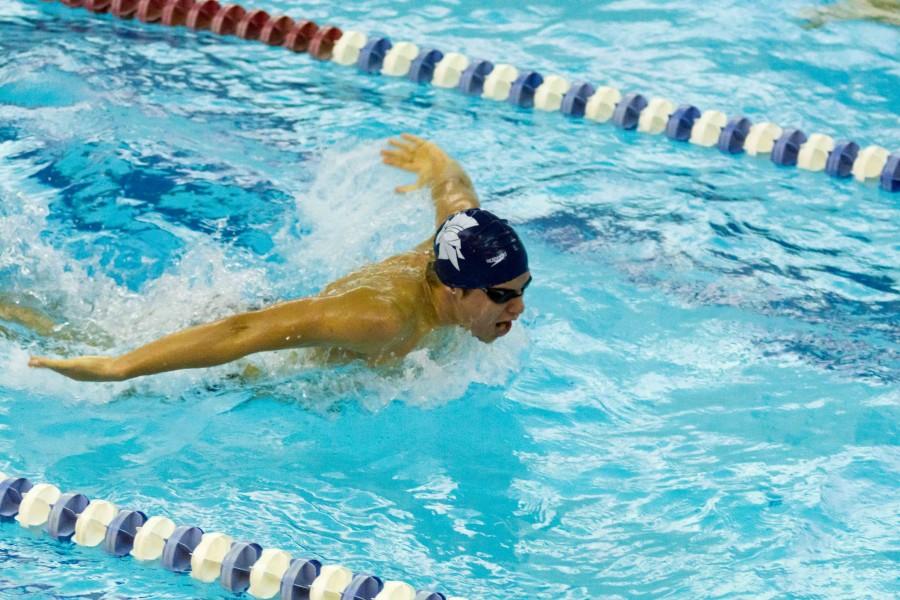 Swimming and diving win final tuneup