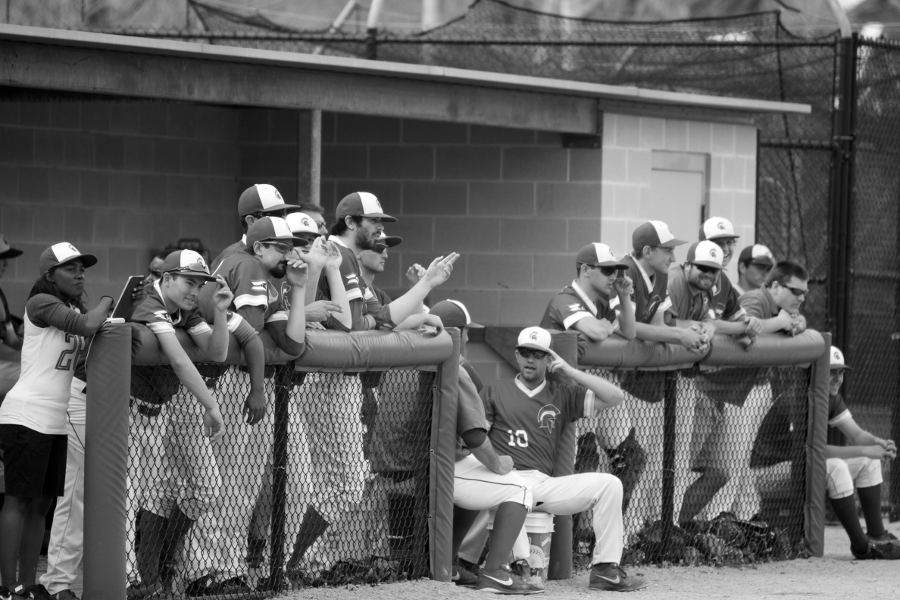 Last years team cheers on their teammates from the dugout at Nobby’s Ballpark. 
The 2015 Spartans begin their season in Florida with the UAA tournament next week. 