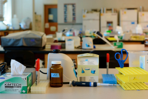 A large number of introductory biology and chemistry laboratory classes take place in the Millis Science Center.