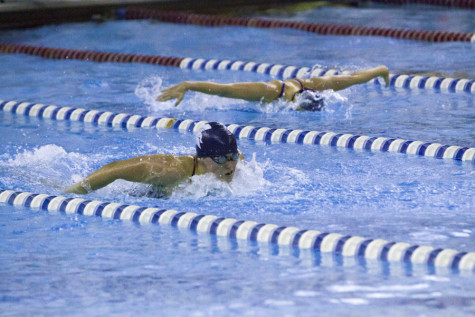 Swimming and diving carries dominance into second half
