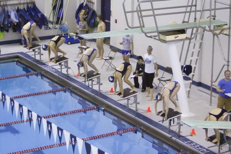 Swimming and diving fall at championships