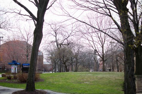 A more winter-friendly landscape