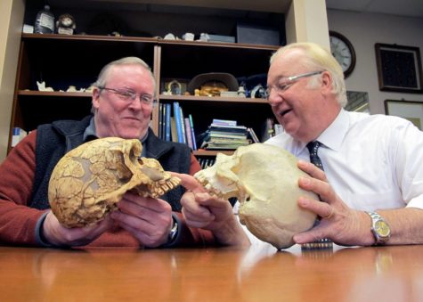 Bruce Latimer, an adjunct professor from the Department of Conginitive Science, is checking two skulls with his collegue. 