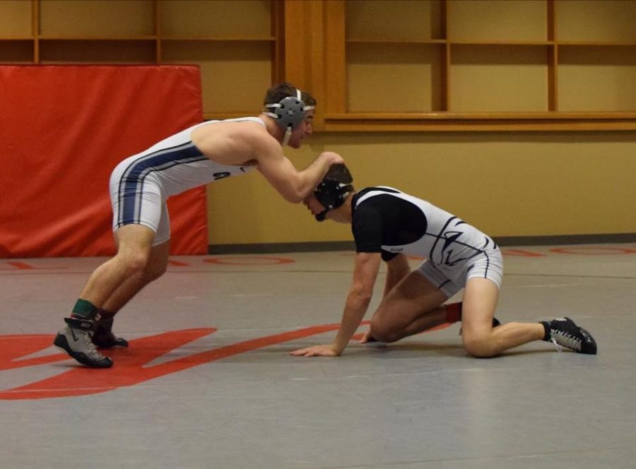 Four fearsome first-year wrestlers are leading the Spartans throughout the season, including during their matches over winter break.
