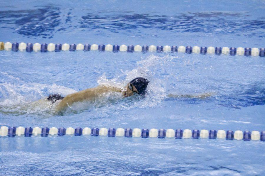 Four members of the swimming team competed at the NCAA Championships with Drew Hamilton earning two All-America Honorable Mentions.