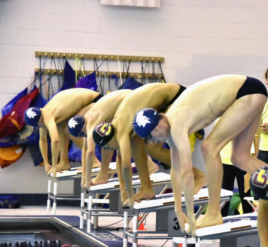 Mens and womens swimming sent a contigent of six swimmers to compete in the NCAA Division III championships. The women sent a record of five swimmers, which was the most CWRU has sent since 2003.