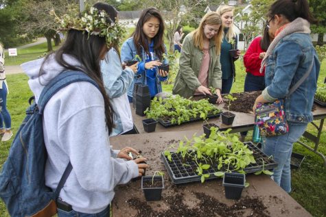 Farm Harvest Festival welcomes new season