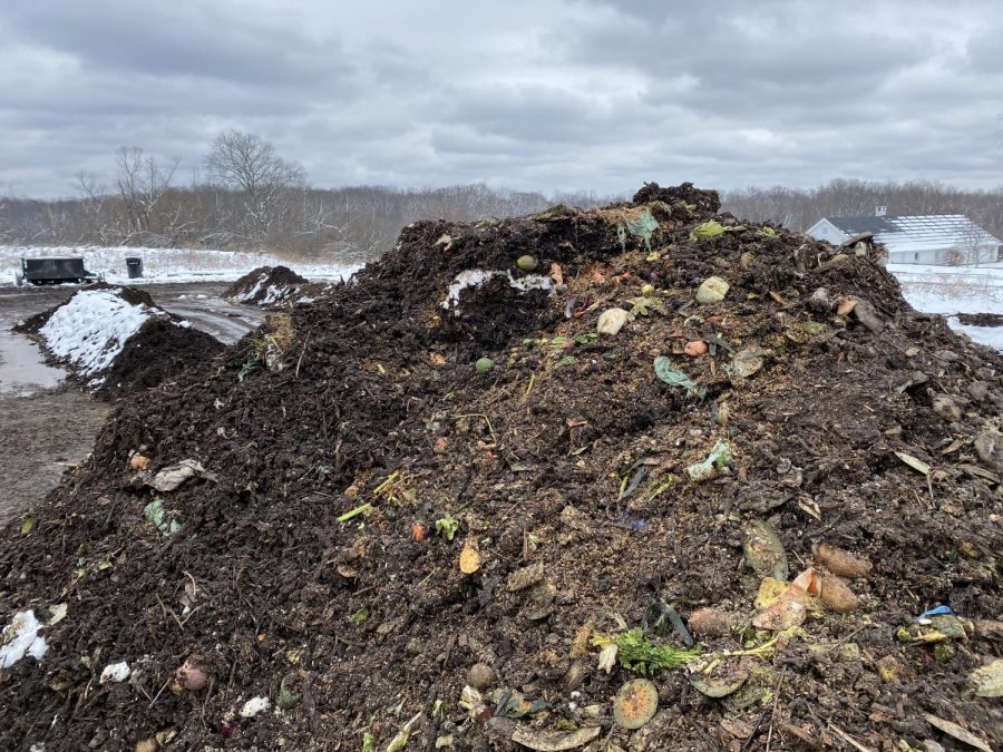 A compost pile at the University Farm where tons of food scraps are deposited every year and turned into soil to be used for crops.