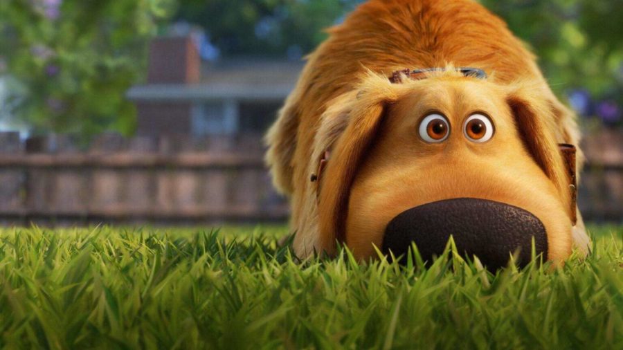 Dug, voiced by Bob Peterson, explores suburban life in the new Disney+ show, 