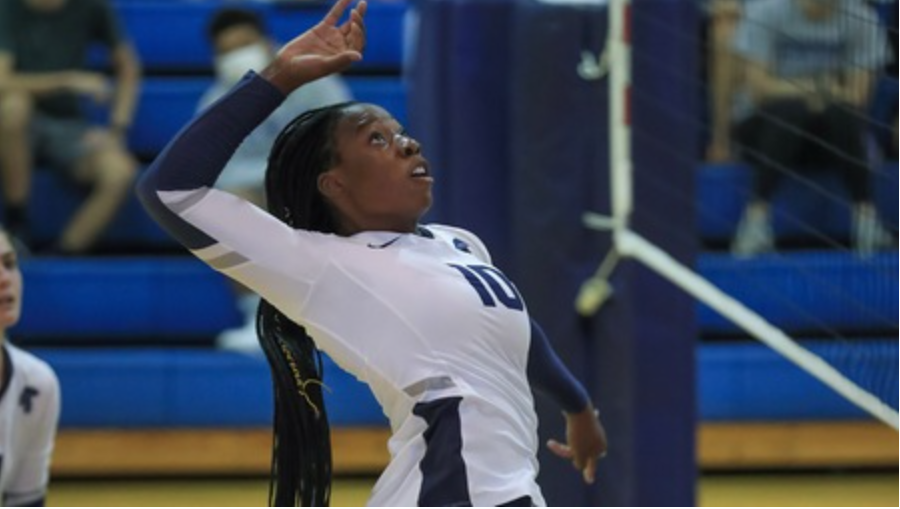Second-year Jennfier Ngo spikes the ball over the net, recording eight total kills on Wednesday night.