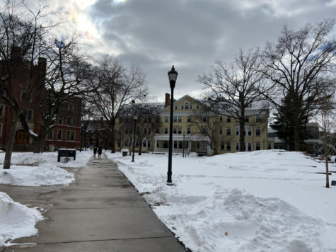 CWRU students revive their child-like love for snow by engaging in winter activities around campus.