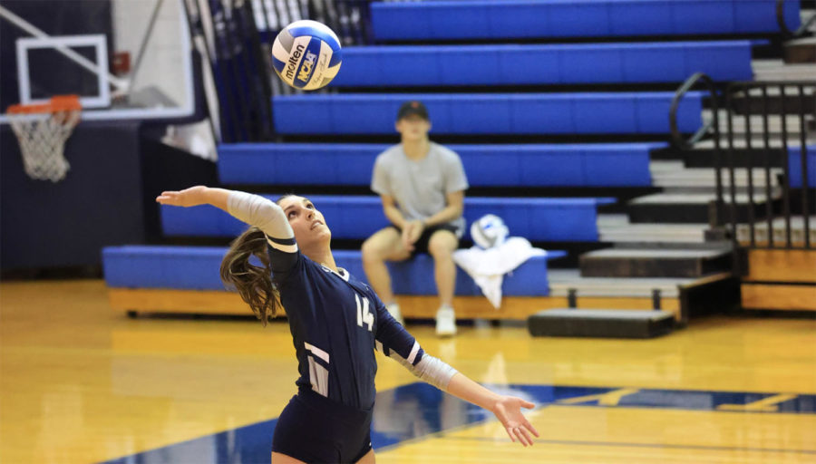 Volleyball rolls past Kenyon and Denison, improving to 11-3