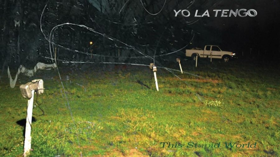 In their 17th studio album This Stupid World, Yo La Tengo returns to their melancholic, noise pop roots.