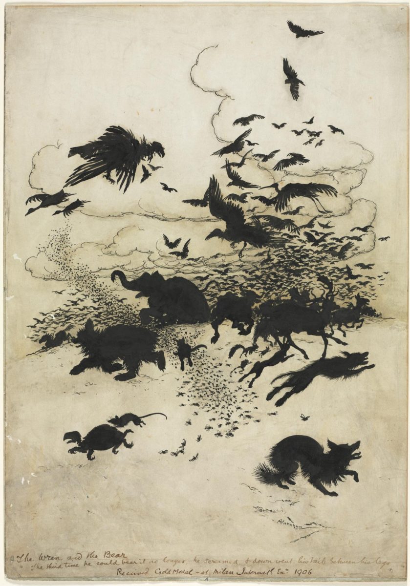The Wren and the Bear
