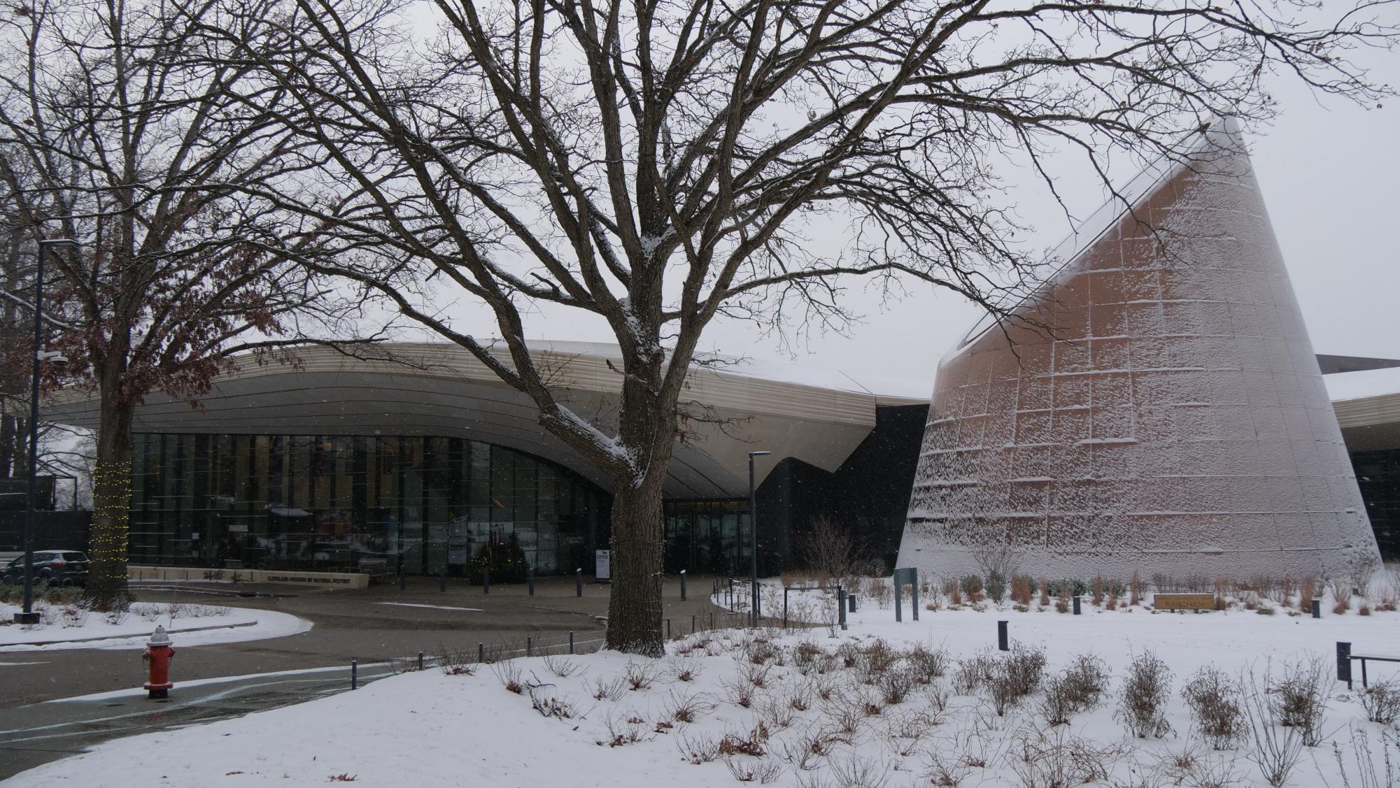 The Cleveland Museum of Natural History sits on Wade Oval, just past the Peter B. Lewis Building and the North Residential Village. CWRU students can enjoy the museum once a week for free. 