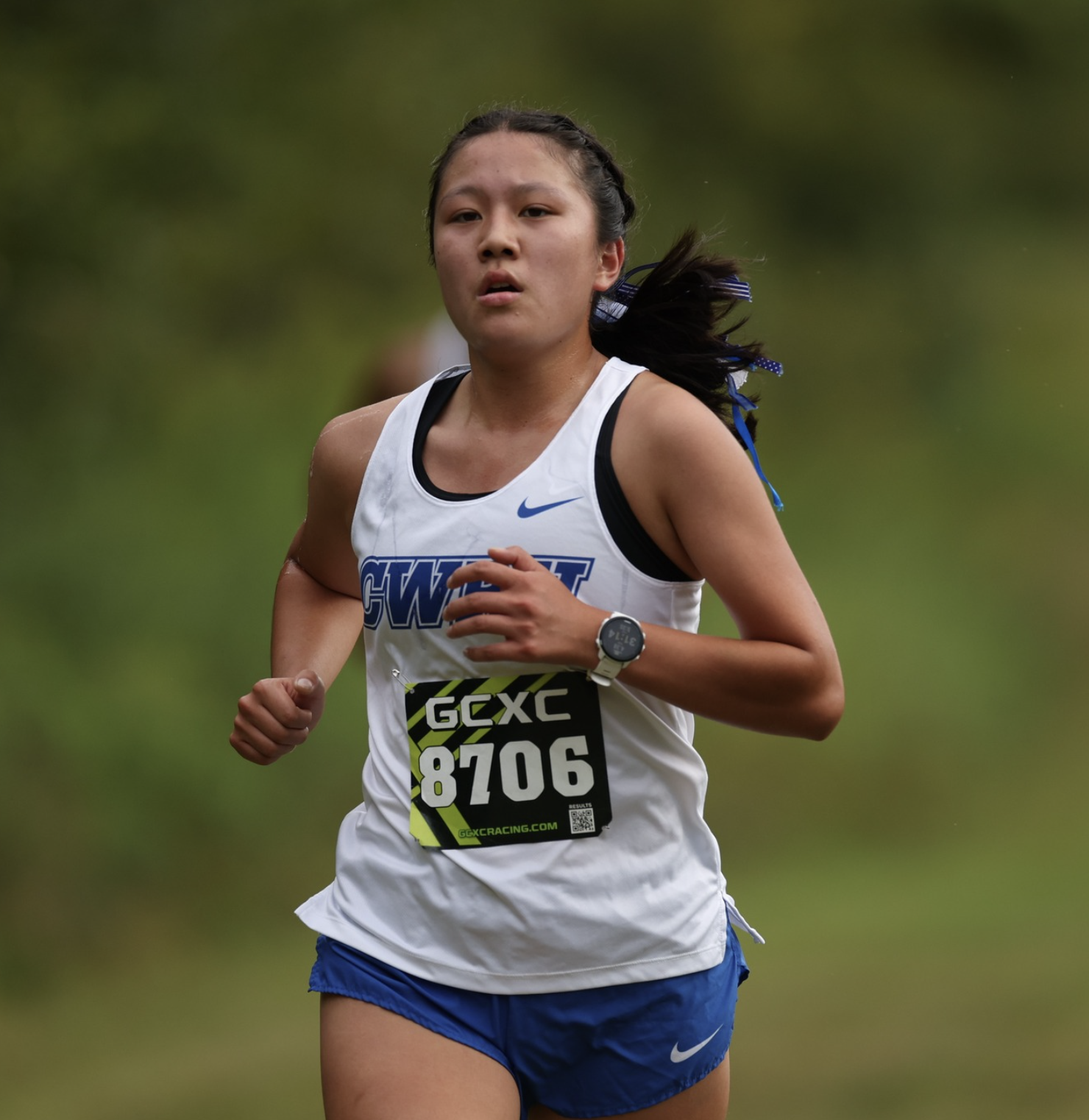 Cross country competes in UAA championships